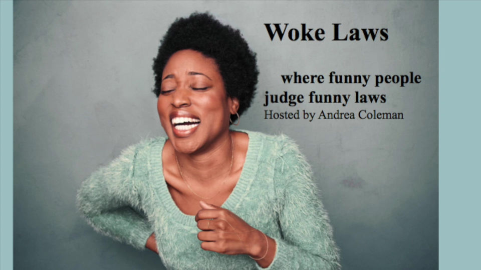 Woke Laws Podcast Teaser